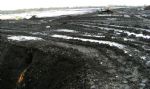 Peat Mining in Salford 